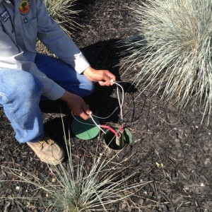 Irrigation Irrigation repair