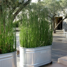 gallery-planters